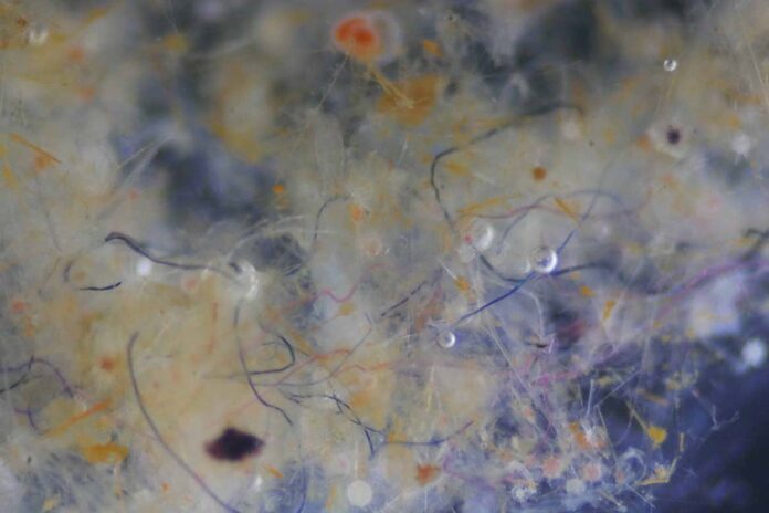 There might not be as many microplastic fibres in oceans as we feared
