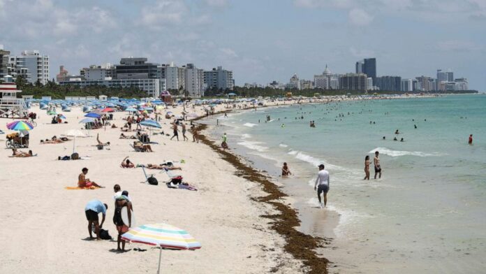 Miami pauses reopening as Florida’s new coronavirus cases rise